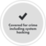 Crime and Hacking Insurance
